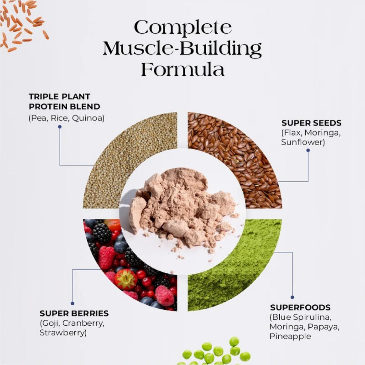 Cureveda Pro Plant Protein