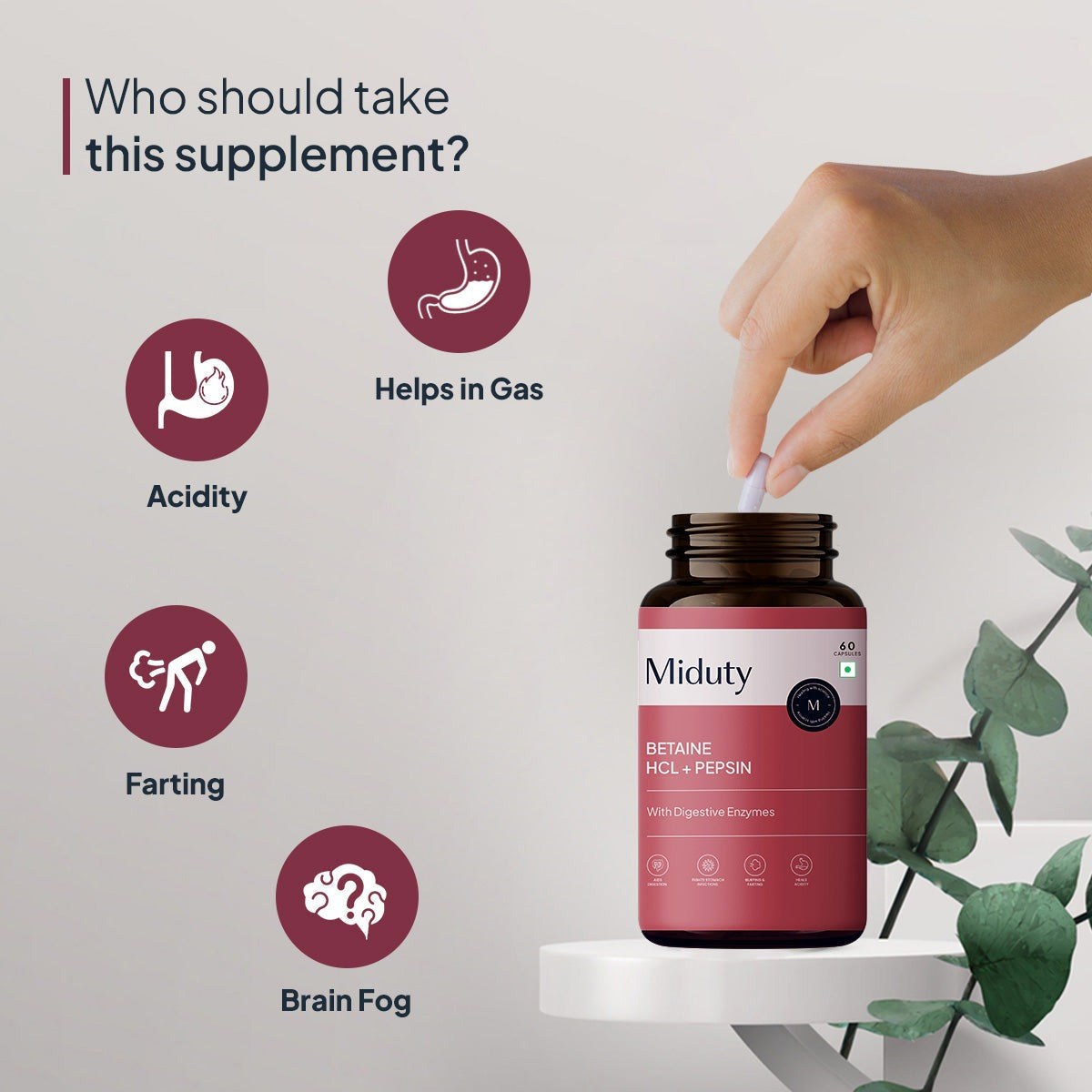 Miduty by Palak Notes Betaine HCL + Pepsin Capsules