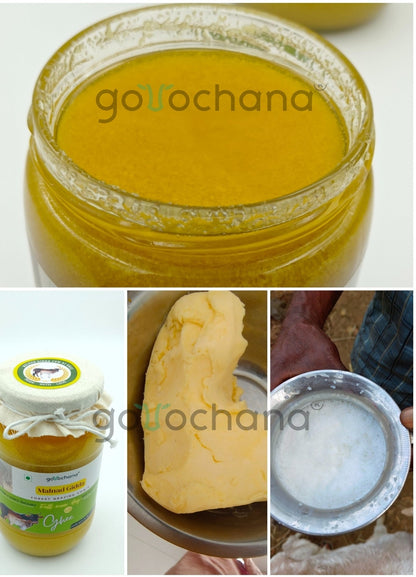 Gorochana 100% Source Traceable Desi Malnad Gidda A2 Full Moon Day Bilona Cow Ghee | Pure Ghee | Organic Ghee
