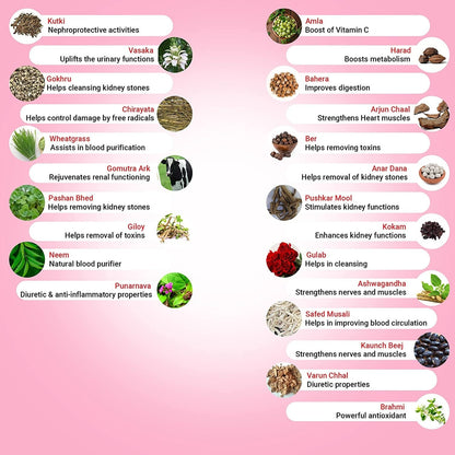 Krishna's Herbal & Ayurveda Kidney Relive Juice
